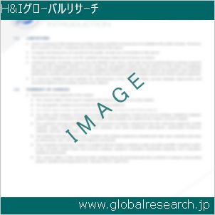 グローバルリサーチ調査レポートのイメージ